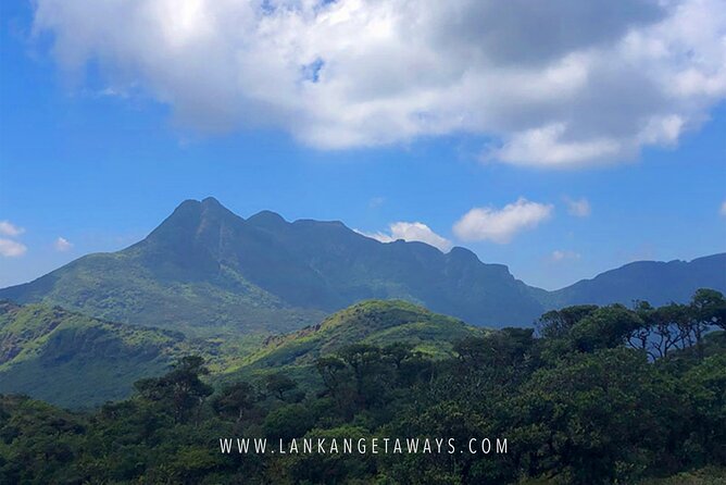 Knuckles Mountain Hiking - Key Things That Make This Knuckles Hike Worth It