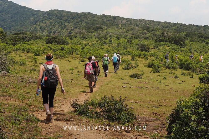 Knuckles Mountain Hiking - What’s Included: Picnic Lunch, Water, Snacks, and No-Fuss Meals