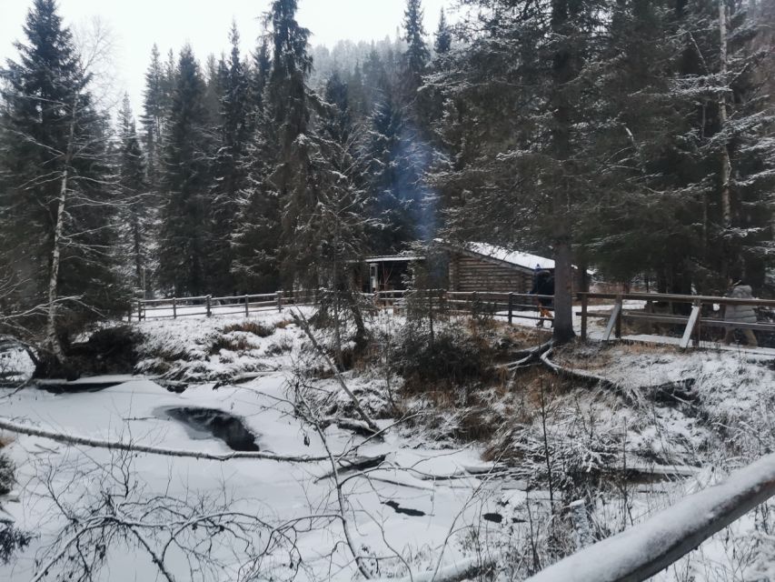 Korouoma Canyon Frozen Waterfalls Hike & Private Teepee BBQ - Key highlights you will actually feel during the day