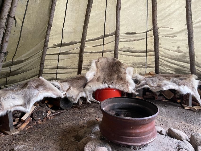Korouoma Canyon Frozen Waterfalls Hike & Private Teepee BBQ - Spotting Arctic wildlife: what you should watch for