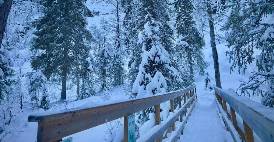 Korouoma: Frozen Waterfall Hiking Tour - Snow-ready gear: the anti-slip grips that keep the hike fun