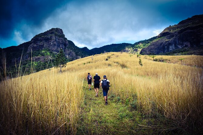 Koroyanitu National Heritage Park Fiji - Hike - Waterfall - Quick Facts: Time, Price, and Tour Style