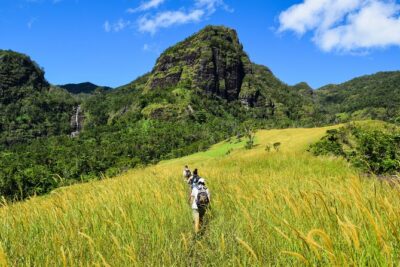 Koroyanitu National Heritage Park Fiji - Hike - Waterfall - Koroyanitu National Heritage Park: Trails, Water Pools, and Bird-Plant Hunting