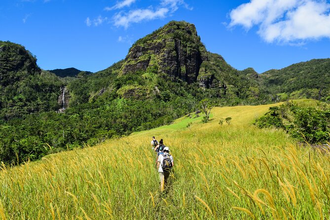 Koroyanitu National Heritage Park Fiji - Hike - Waterfall - Koroyanitu National Heritage Park: Trails, Water Pools, and Bird-Plant Hunting