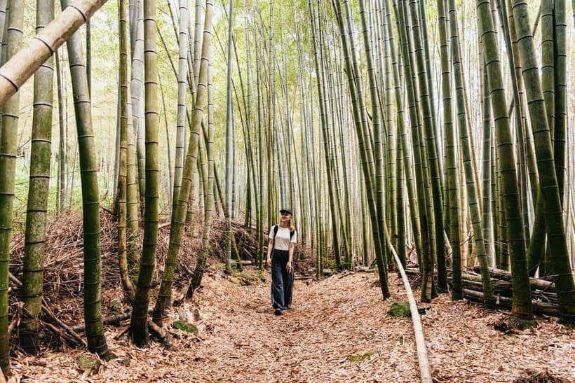 Kyoto: 3-Hour Fushimi Inari Shrine Hidden Hiking Tour - Why Fushimi Inari Feels Different From the Back (and Off the Main Path)