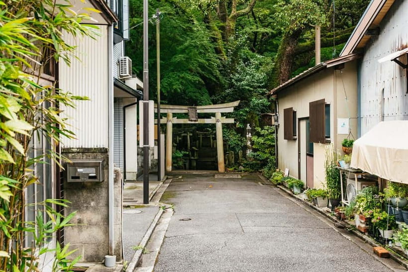 Kyoto: 3-Hour Fushimi Inari Shrine Hidden Hiking Tour - Reaching the Summit: Altars, Torii, and How Your Guide Gets You There Respectfully
