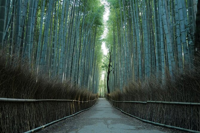 Kyoto Arashiyama Bamboo Forest Hiking Tour（Hidden Temples） - Key points to know before you go