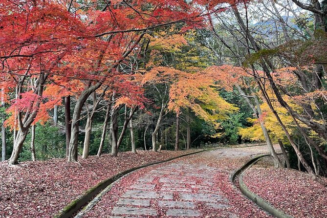 Kyoto Arashiyama Bamboo Forest Hiking Tour（Hidden Temples） - Price and what you’re really paying for