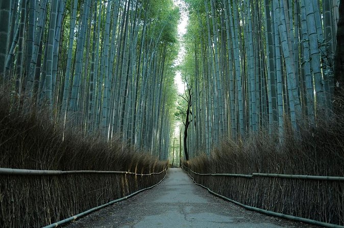 Kyoto Arashiyama Bamboo Forest Hiking Tour（Hidden Temples） - Bamboo Forest Walk: iconic views, plus less of the crush