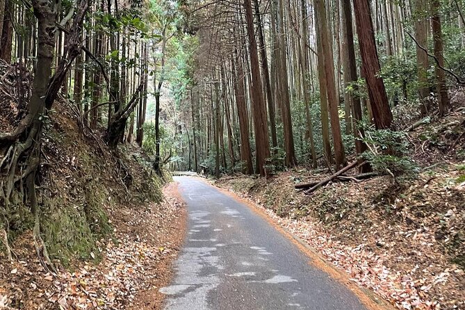 Kyoto Arashiyama Bamboo Forest Hiking Tour（Hidden Temples） - The climb for views: why this is the main event