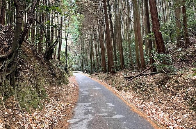 Kyoto Arashiyama Bamboo Forest Hiking Tour（Hidden Temples） - Adashino Nenbutsu-ji: 8,000 statues and a calmer mood