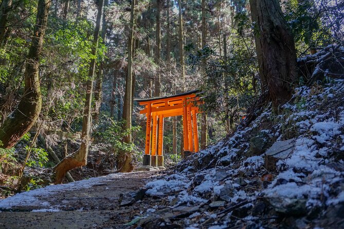 Kyoto: Fushimi Inari Hidden Hike (Private) - What you’ll notice on this Kyoto private hike