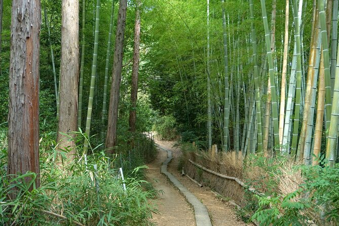 Kyoto: Fushimi Inari Hidden Hike (Private) - Fushimi Inari Taisha: vermilion torii, bamboo, and the calm mountain paths