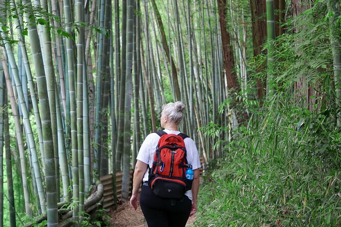 Kyoto: Fushimi Inari Hidden Hike (Private) - Timing and pacing: what the 3-hour walk feels like