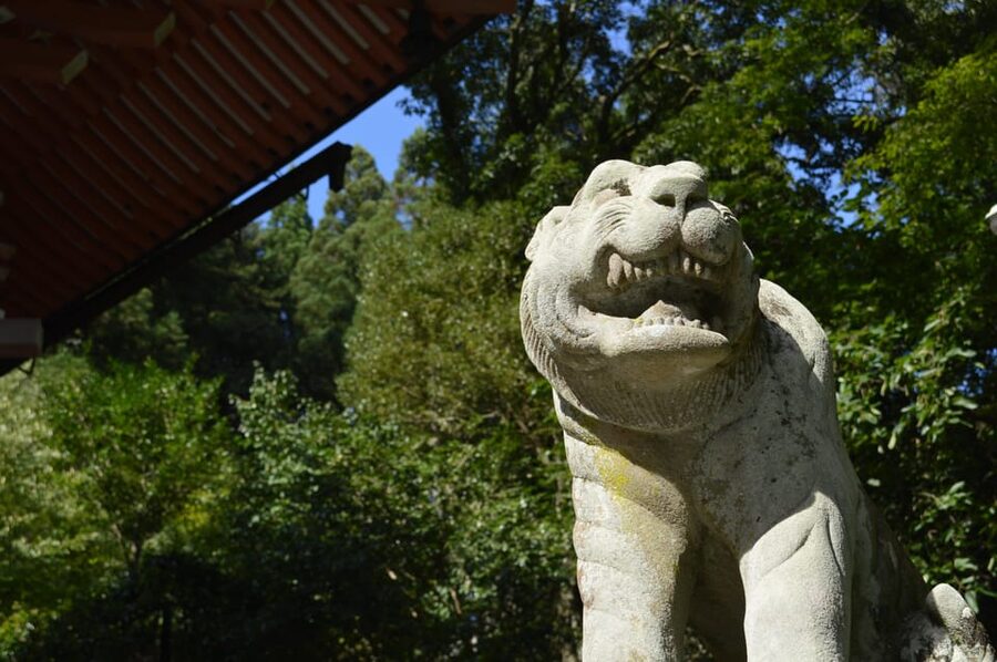 Kyoto: Hike and Hot Springs in Kurama - Kurama hot springs: what you’re paying for and how to plan it