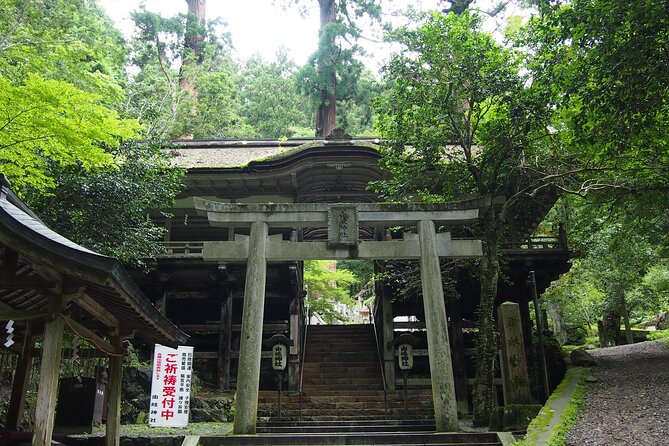 Kyoto Hiking Tour: The Nature and Legends of Kurama and Kibune - Kurama-dera: forest steps, temple focus, and a long-feeling approach