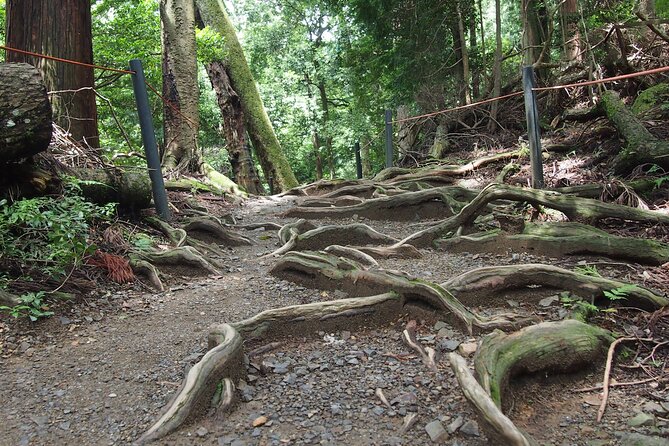 Kyoto Hiking Tour: The Nature and Legends of Kurama and Kibune - Kibune Shrine: water prayers, pure mountain water, and a goddess boat