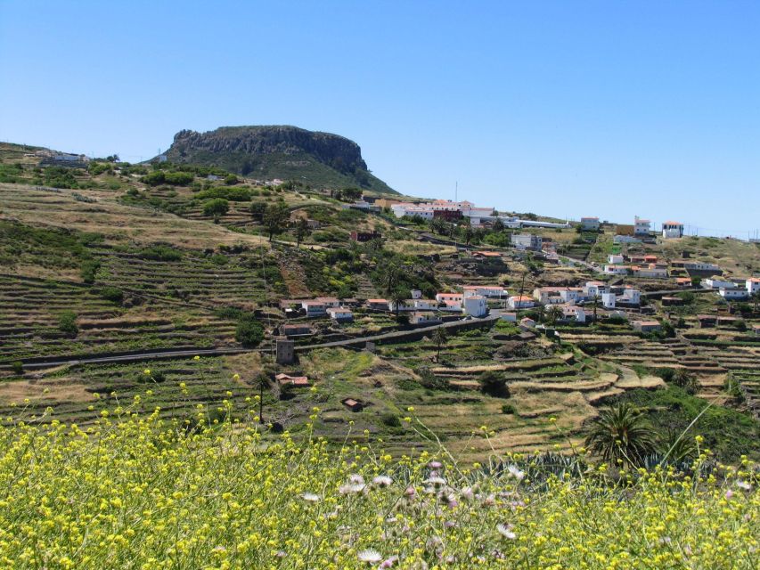 La Gomera: Guided Hiking Tours from Valle Gran Rey - From Valle Gran Rey to Trail Time: What This 5-Hour Trek Really Means