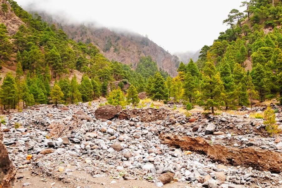 La Palma: Caldera de Taburiente National Park Guided Hike - Why Caldera de Taburiente feels different from a typical hike
