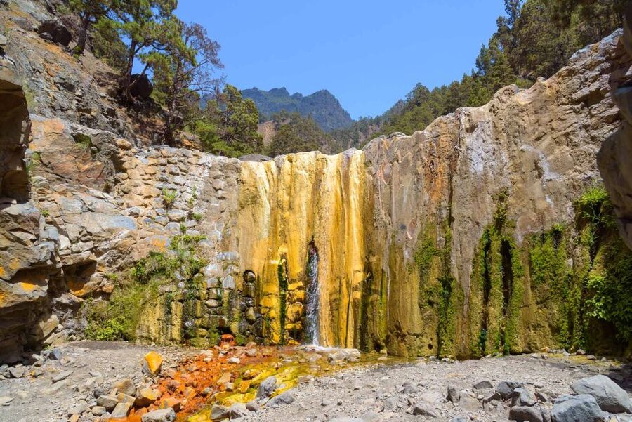 La Palma: Caldera de Taburiente National Park Guided Hike - Canaries, cedars, and small moments that make the trek