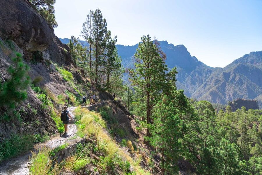La Palma: Caldera de Taburiente National Park Guided Hike - Fitness and comfort: who this hike is for