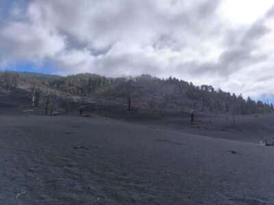 La Palma: Tajogaite Volcano Guided Hike - Walking 6.5 km on ash: what the trail is really like