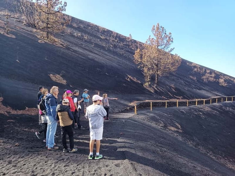 La Palma: Tajogaite Volcano Guided Hike - Price and value: is $42 for 4.5 hours worth it?