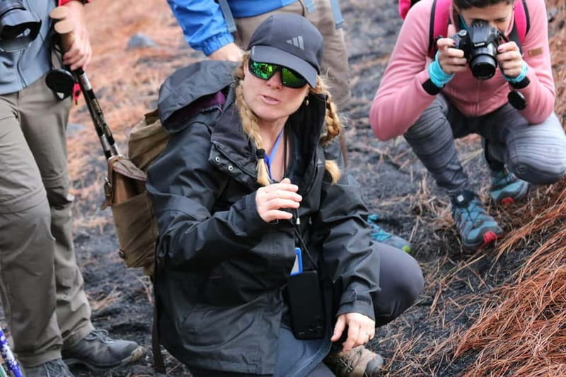 La Palma: Tajogaite Volcano Guided Hike - Final decision: should you book the La Palma Tajogaite Volcano hike?