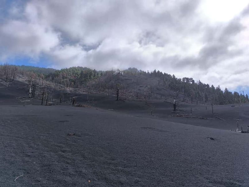 La Palma: Tajogaite Volcano Guided Hike - Walking 6.5 km on ash: what the trail is really like