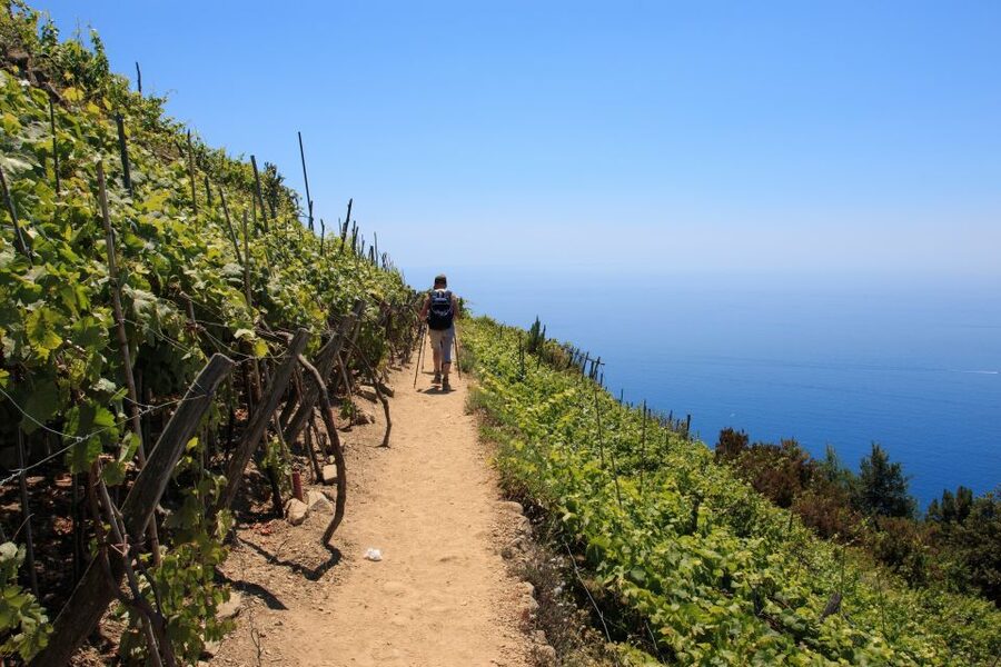 La Spezia: Cinque Terre Guided Hiking Tour - Weather, delays, and alternate plans: how to keep the day smooth