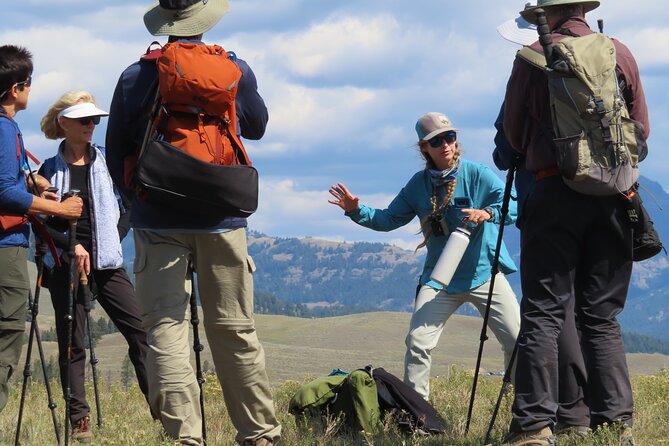 Lamar Valley Safari Hiking Tour with Lunch - 6 Hours in Lamar Valley: How the Day Flows