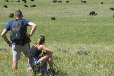 Lamar Valley: Safari Hiking Tour with Lunch - Finding the Lamar River Hiker Trailhead (not the horse trail)
