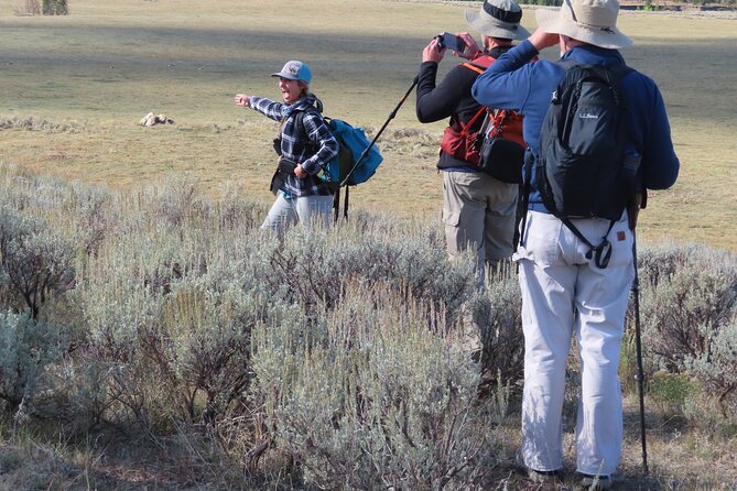 Lamar Valley Safari Hiking Tour with Lunch - Meeting at Lamar River Trailhead: Timing and Arrival Tips