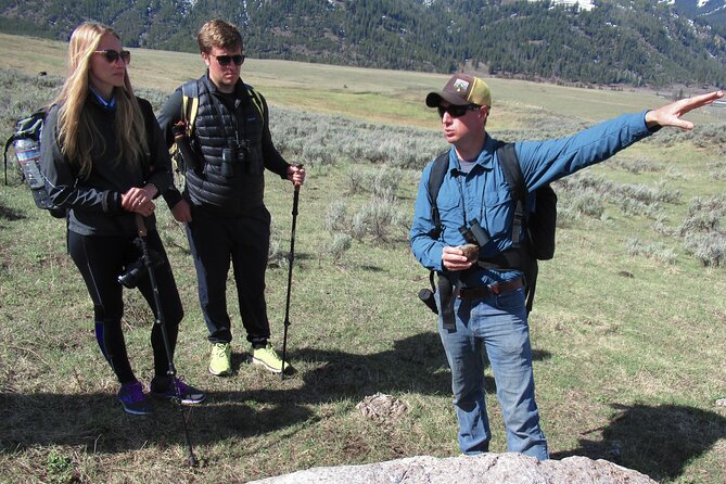 Lamar Valley Safari Hiking Tour with Lunch - The Guide Makes the Difference (Names You’ll Hear)