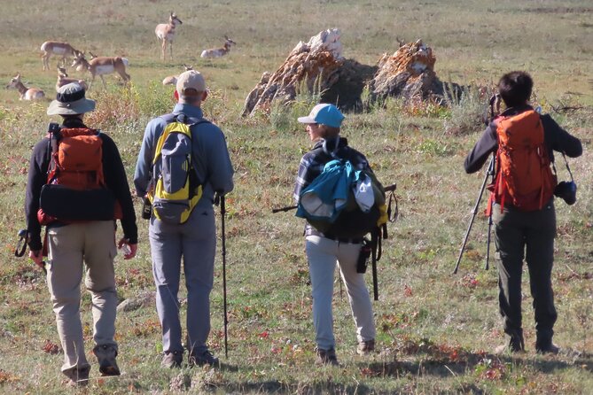 Lamar Valley Safari Hiking Tour with Lunch - How Strenuous Is It, Really?