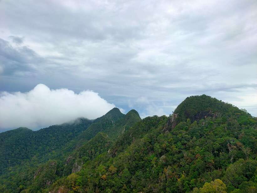 Langkawi SkyTrail Hiking and Cable Car Experience - The trail options: choosing Beginner, Intermediate, or Challenging