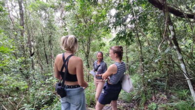 Langkawi SkyTrail Hiking and Cable Car Experience - The guided hike: pace, steps, and smart tips for staying comfortable