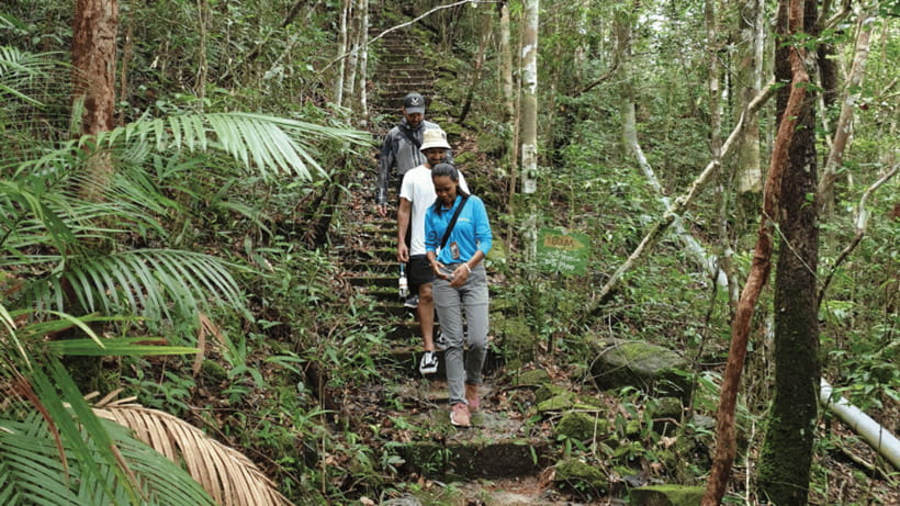 Langkawi SkyTrail Hiking and Cable Car Experience - SkyDome, SkyRex, and the 3D Art Gallery: fun extras or just time fillers?