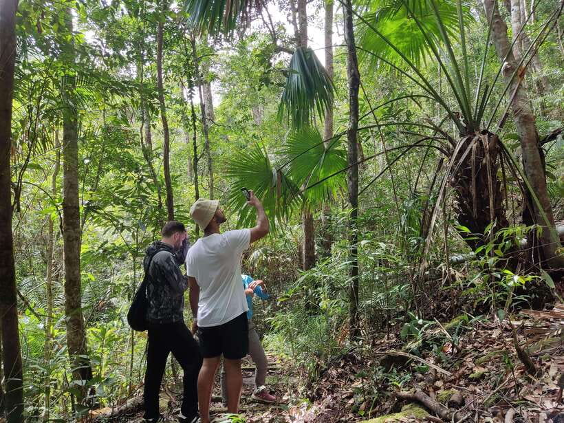 Langkawi SkyTrail Hiking and Cable Car Experience - Who this tour is for (and who should skip it)