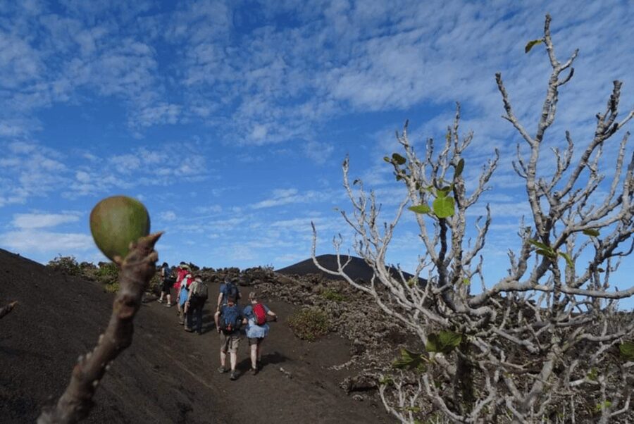 Lanzarote: Hike Across Timanfaya's Volcanic Landscapes - Pace, Fitness, and Footwear: The Honest Practical Stuff
