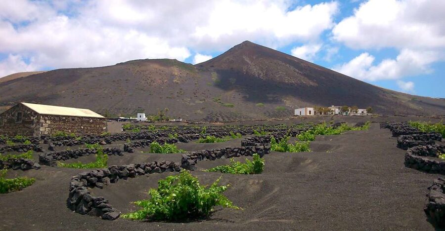 Lanzarote: La Geria Vineyards Hiking Tour - The agricultural “miracle” lesson you can see with your own eyes