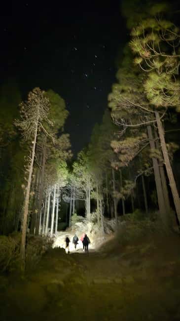 Las Palmas: Sunset & Night Sky Guided Astronomy Hiking Tour - Timing and Pace: How 3 Hours Usually Works