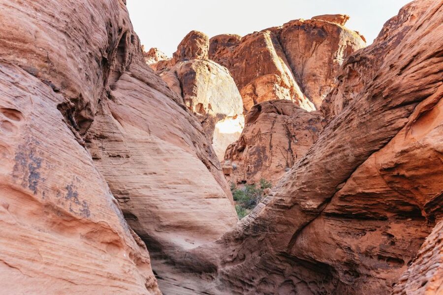 Las Vegas: Valley of Fire Guided Hike with Drinks and Snacks - Price and Value: Is $129 Worth It?