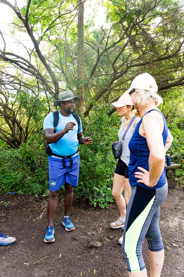 Le Morne Brabant: UNESCO Mountain Hike & Local Guides - Value for $59: paying for safety, access, and community impact