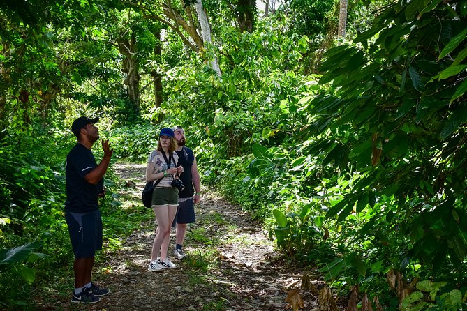Let's do hiking in Punta Cana - Why a mountain hike beats another beach day in Punta Cana