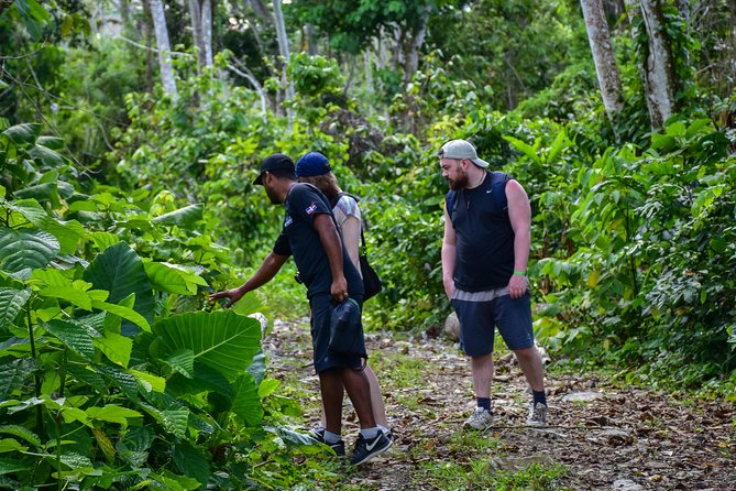 Let's do hiking in Punta Cana - Coffee and chocolate tasting at the local rancho
