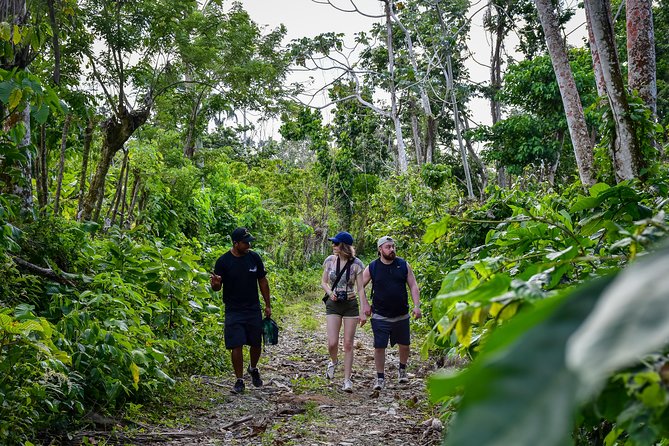 Let's do hiking in Punta Cana - Anamuya River pause and what to expect from the scenery