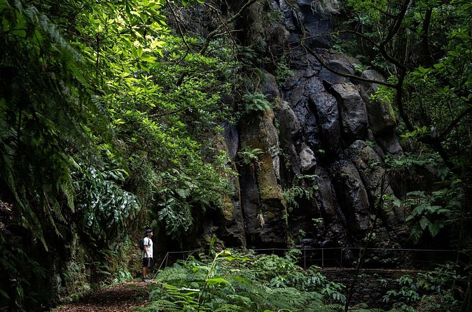Levada do Caldeirão Verde Self-Guided Hike in Madeira - On the trail: what to expect along the Levada do Caldeirão Verde route