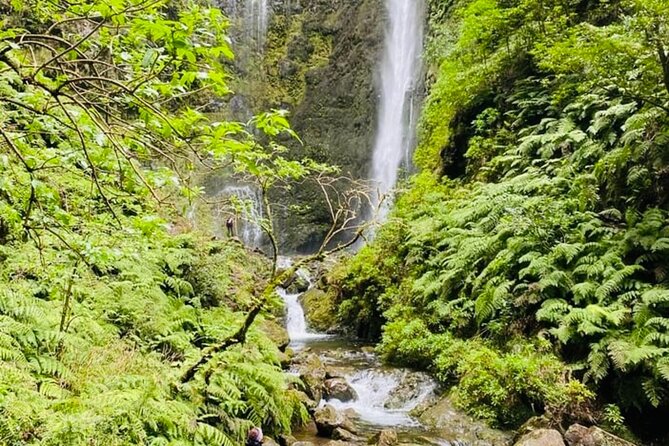 Levada do Caldeirão Verde Self-Guided Hike in Madeira - Tickets and the €4.50 contribution you shouldn’t forget