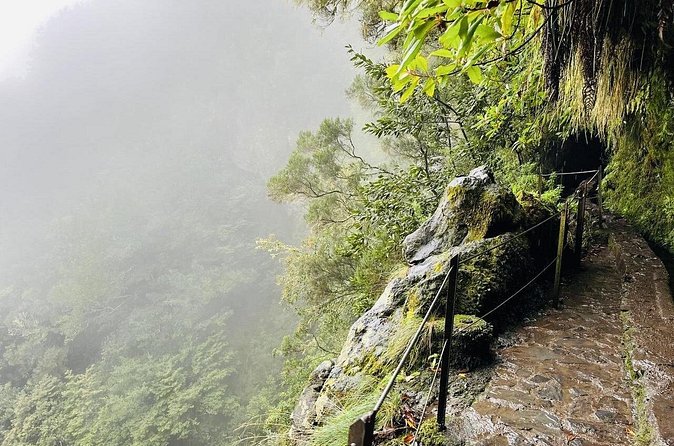 Levada do Caldeirão Verde Self-Guided Hike in Madeira - Price, logistics, and why the small-group van helps